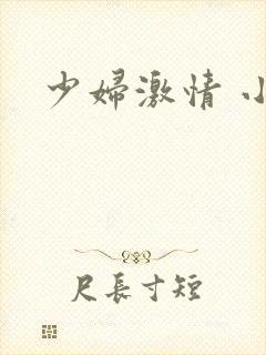 少妇激情 小说