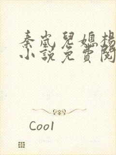 秦岚儿媳杨诚的小说免费阅读