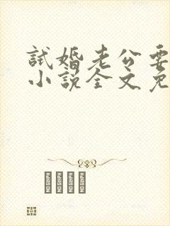 试婚老公要给力小说全文免费阅读