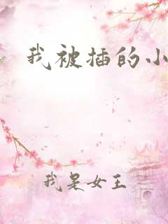 我被插的小说