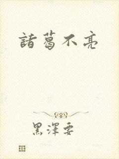 诸葛不亮