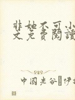 非她不可小说全文免费阅读