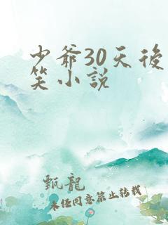 少爷30天后会笑小说