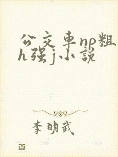 公交车np粗暴h强j小说