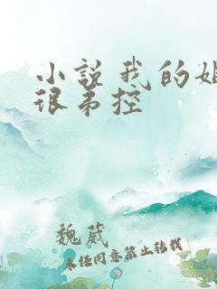 小说 我的姐姐很弟控