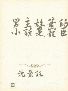男主姓萧的古代小说是宠臣