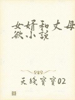 女婿和丈母娘乱欲小说