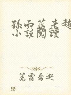 孙雨菲老赵表舅小说阅读