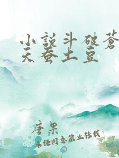 小说斗破苍穹2天蚕土豆