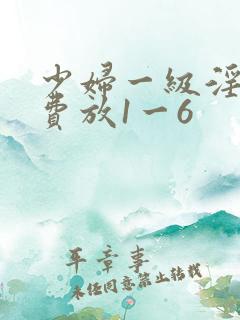 少妇一级淫片免费放1一6