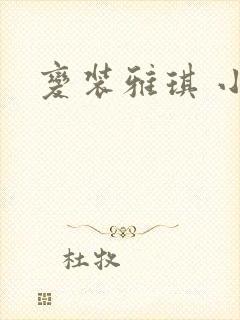 变装雅琪 小说
