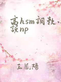 高hsm调教小说np