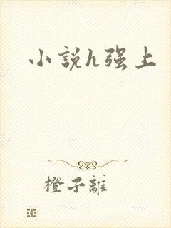 小说h强上