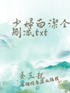 少妇白洁全文无删减txt