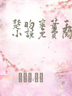 楚昀宁萧王穿越小说免费阅读无弹窗