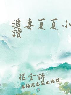 追妻夏夏小说阅读