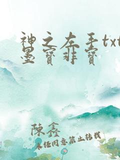 神之左手txt墨宝非宝