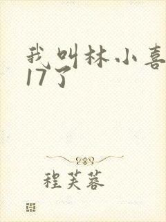 我叫林小喜今年17了