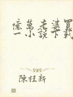 亿万老婆买一送一小说下载txt