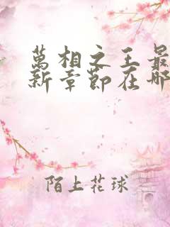 万相之王最新更新章节在哪里看