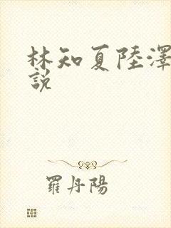 林知夏陆泽言小说