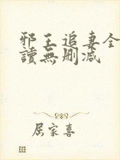 邪王追妻全文阅读无删减