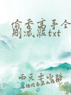 偷香高手全文无删减版txt