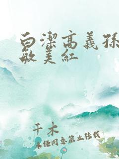 白洁高义孙倩张敏美红