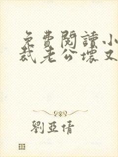 免费阅读小说总裁老公坏又甜