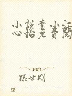 小说李小江与王心怡免费阅读全文