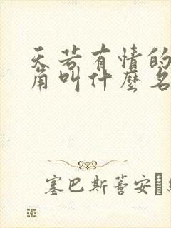 天若有情的女主角叫什么名字