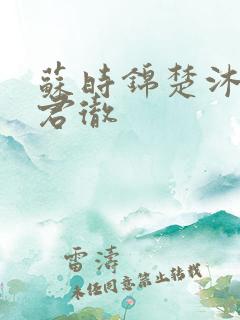 苏时锦楚沐尘楚君彻