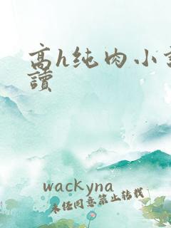 高h纯肉小说阅读