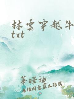 林云穿越牛背山txt