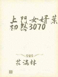 上门女婿叶辰萧初然3070