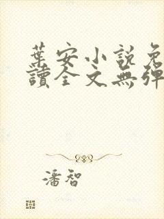 叶安小说免费阅读全文无弹窗