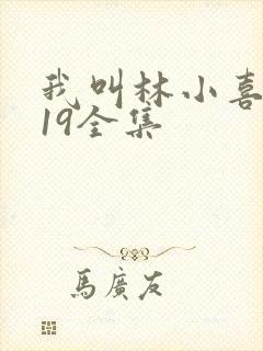 我叫林小喜今年19全集