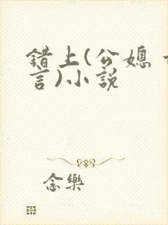 错上(公媳 古言)小说