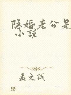 隐婚老公是大佬 小说