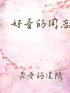 好看的同志小说