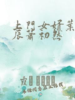 上门女婿叶辰叶辰萧初然