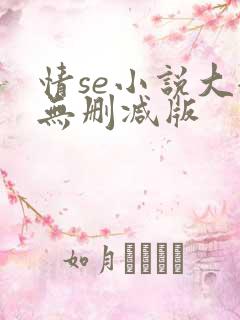 情se小说大全无删减版