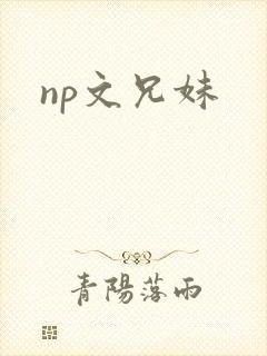 np文兄妹