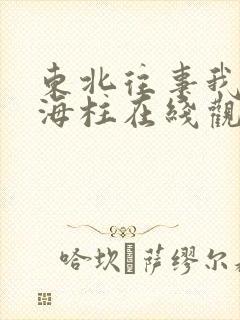 东北往事我叫刘海柱在线观看高清完整版