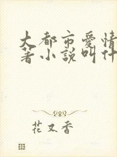 大都市爱情法原著小说叫什么