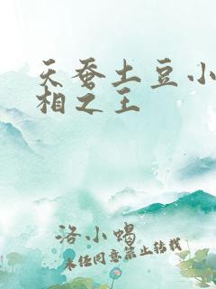 天蚕土豆小说万相之王