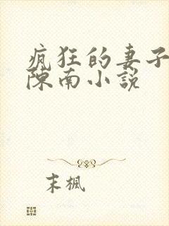 疯狂的妻子林瑶陈南小说