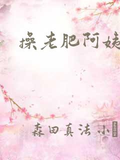 操老肥阿姨