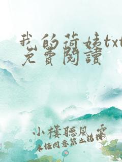 我的荷姨txt免费阅读