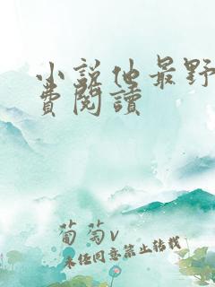 小说他最野了免费阅读